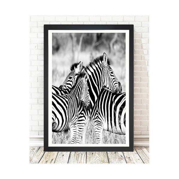 Pittura Zebre, 24 x 29 cm Brighton Zebras - Tablo Center-image-1