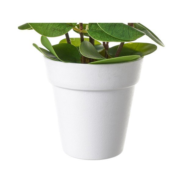 Eucalipto artificiale - Casa Selección-image-1