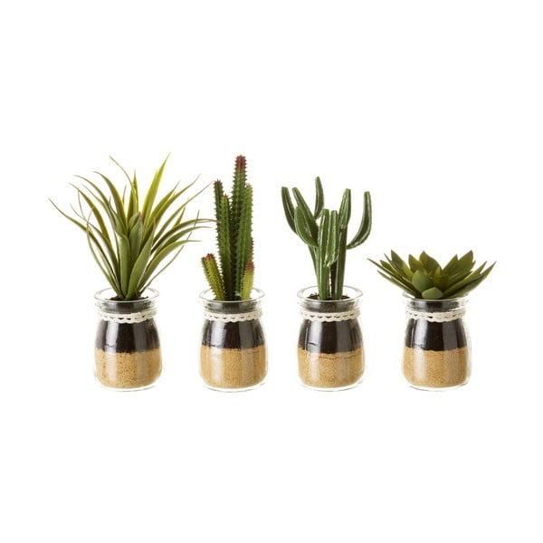 Piante artificiali in set da 4 (altezza 18 cm) Cactus - Casa Selección