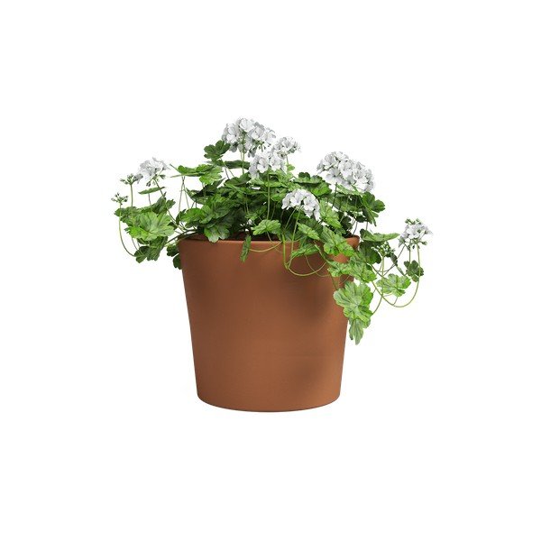 Vaso in terracotta ø 39 cm Manuel - Artevasi-image-2