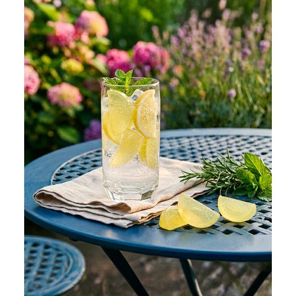 Set di cubetti refrigeranti in plastica 20 pz Lemon – Orion-image-1