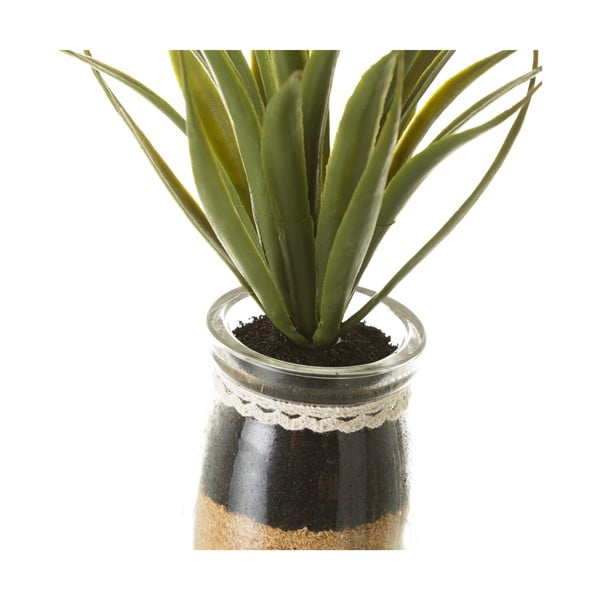 Piante artificiali in set da 4 (altezza 18 cm) Cactus - Casa Selección-image-2