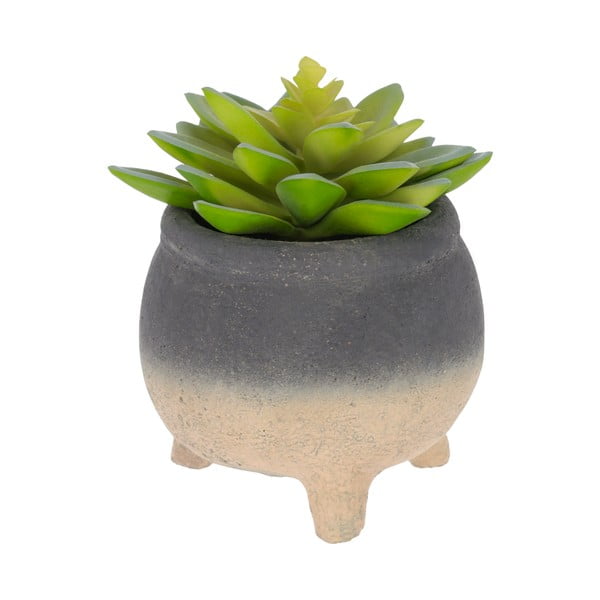 Succulenta artificiale (altezza 14 cm) Sedum Lucidum - Kave Home
