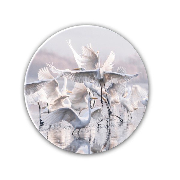 Decorazione da parete Anello degli aironi, ø 70 cm - Styler-image-1
