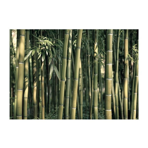 Carta da parati di grande formato, 200 x 140 cm Bamboo Exotic - Artgeist