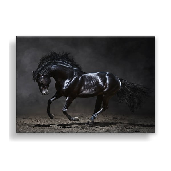 Quadro su tela Silver Uno Horse, 85 x 113 cm - Styler