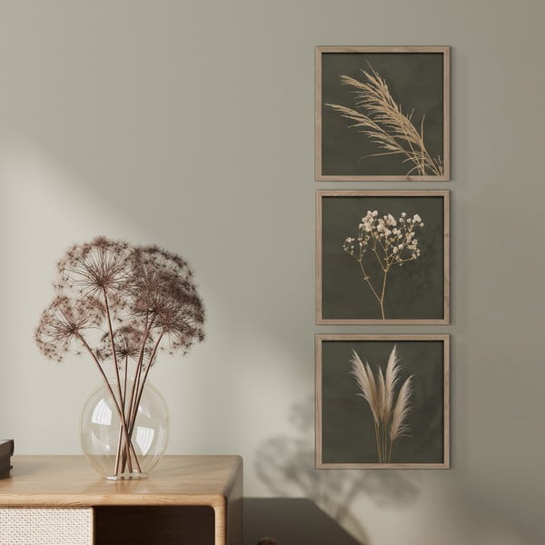 Set di dipinti 3 pz 30x30 cm Pampas – Styler-image-1