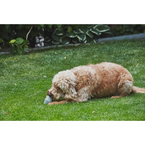 Giocattolo per cani Cono Sage - MiaCara-image-2