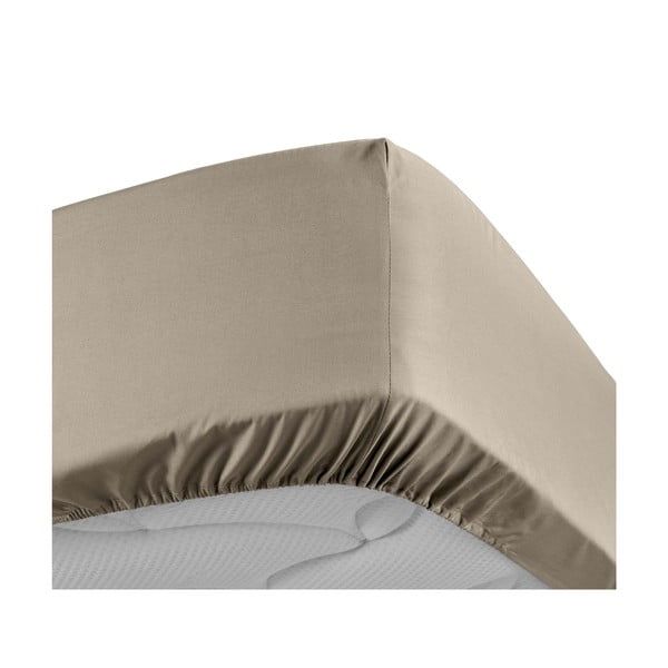 Lenzuolo in percalle di cotone elasticizzato marrone chiaro 160x200 cm Percaline - douceur d'intérieur-image-3