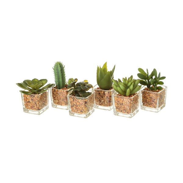 Piante artificiali in set da 6 (altezza 8 cm) Cactus - Casa Selección