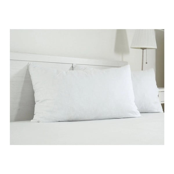 Federa per cuscino in cotone 45x75 cm Visco – B.E.S.-image-2