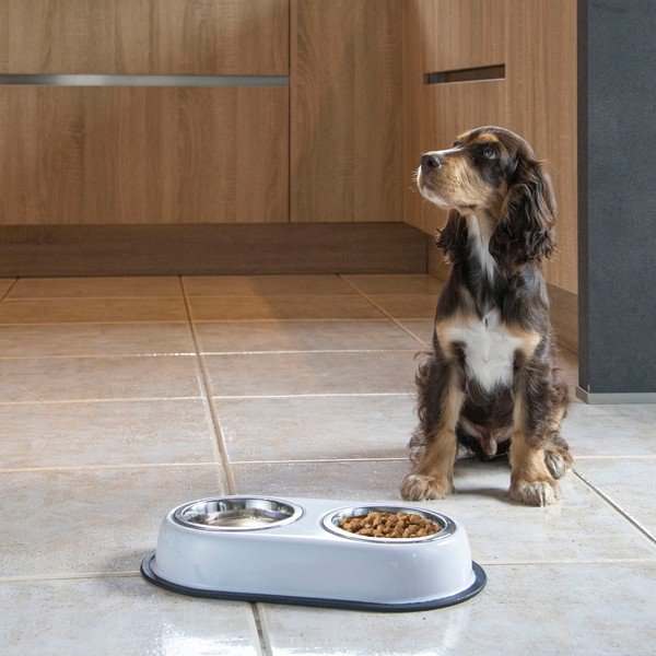 Set di ciotole in plastica con base per cani - Love Story-image-1