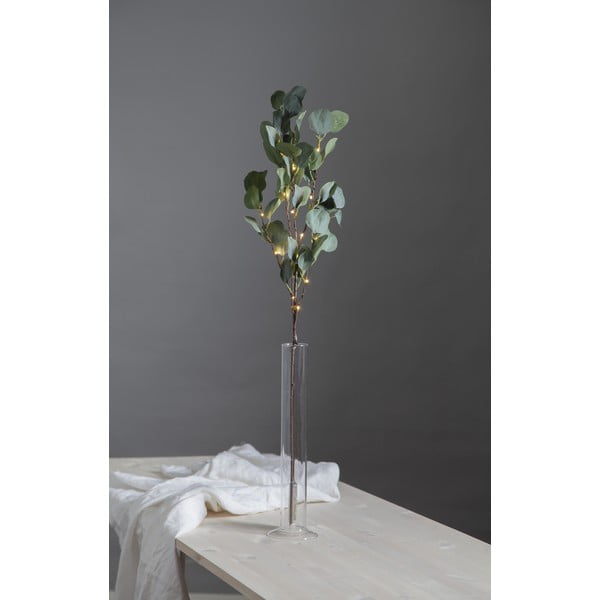 Decorazione luminosa a LED verde, lunghezza 90 cm Eucalyptus - Star Trading-image-2