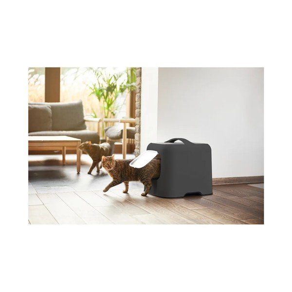 Set di lettiera e paletta per gatti antracite Biala - Rotho-image-3