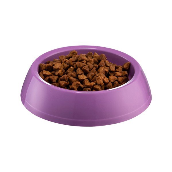 Ciotola per cani viola, ø 14 cm - Petpetite-image-1