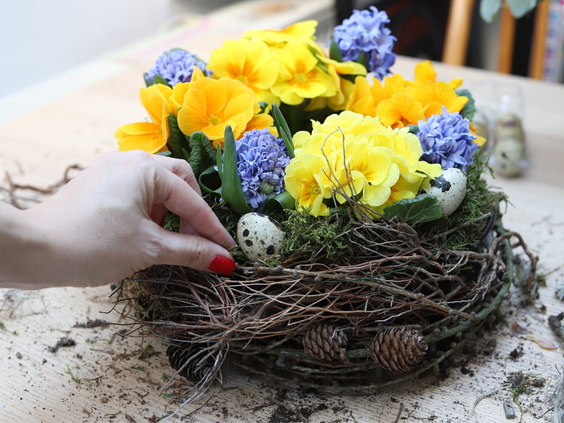 Primule, giacinti e altri bulbi primaverili inseriti in uno stampo per ciambella.