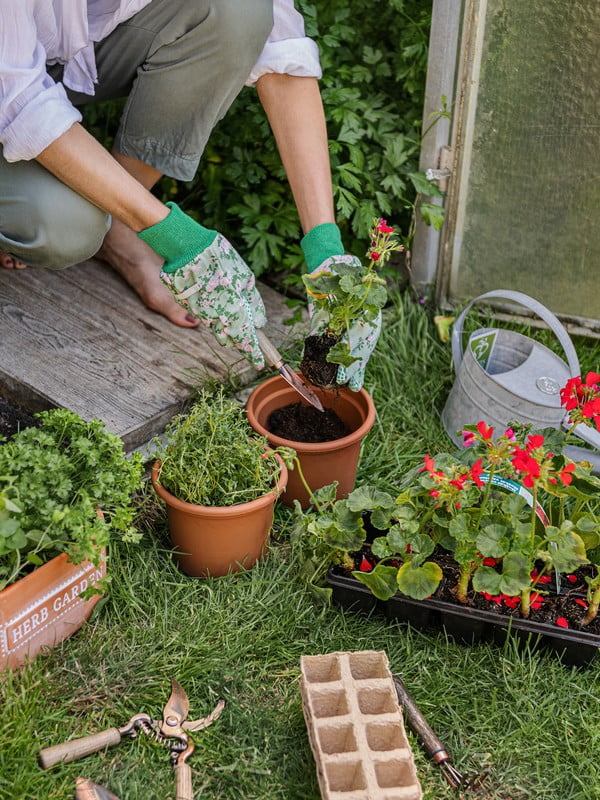 Ispirazione: Giardino