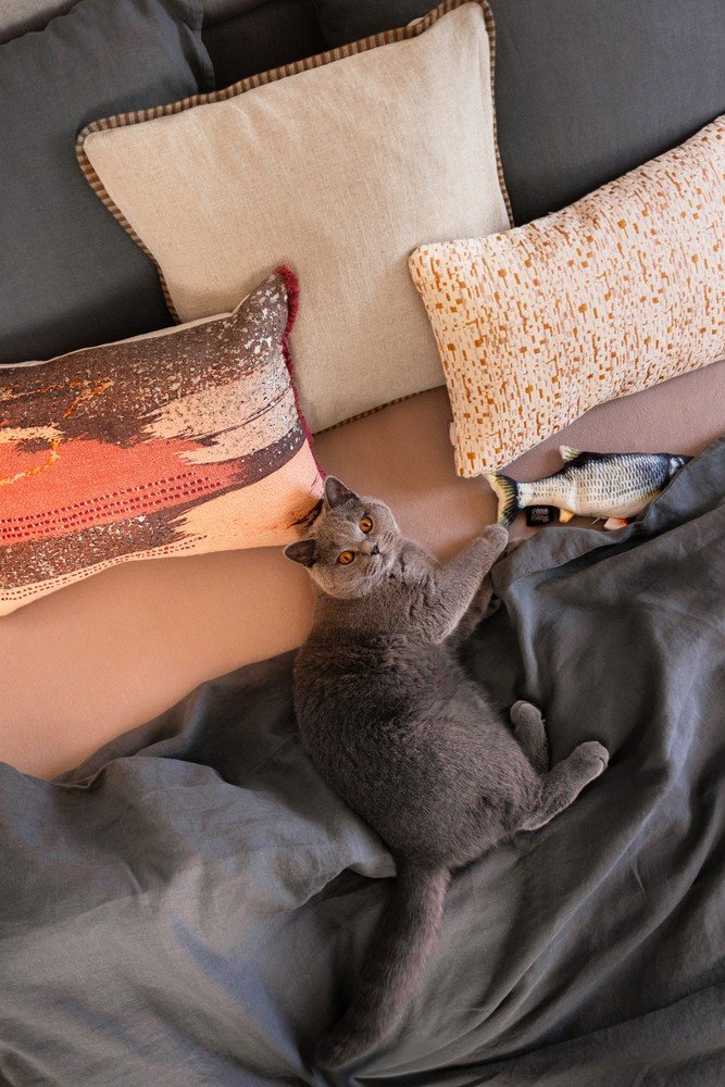 Ispirazione: Bonami in visita