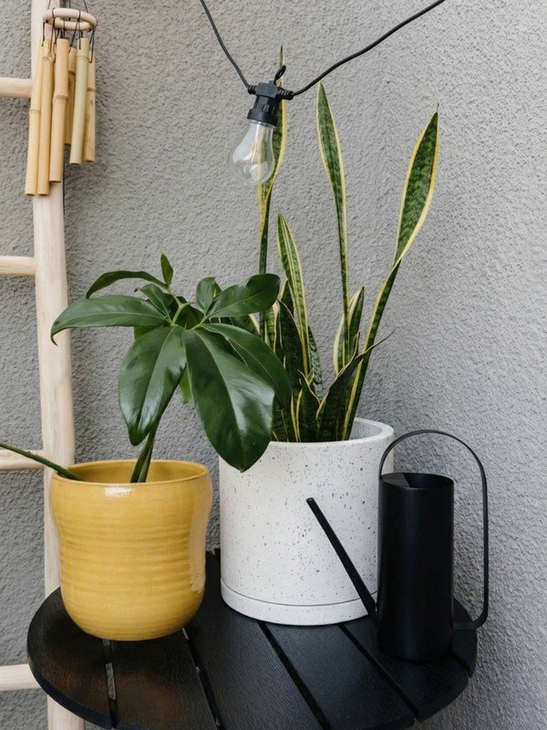 Ispirazione: Balcone e giardino, Giardino