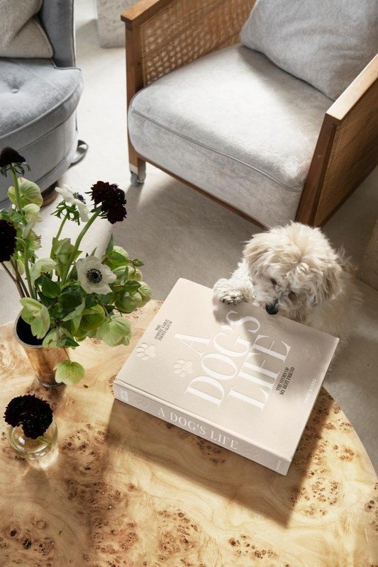 Ispirazione: Brand premium, Animali domestici