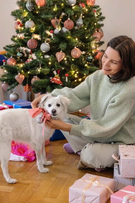 Ispirazione: Natale, Decorazioni