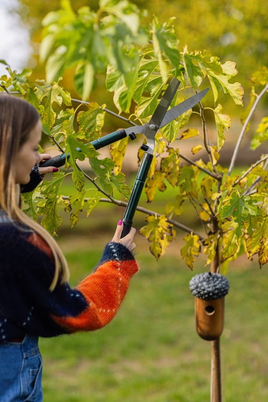 Ispirazione: Giardino