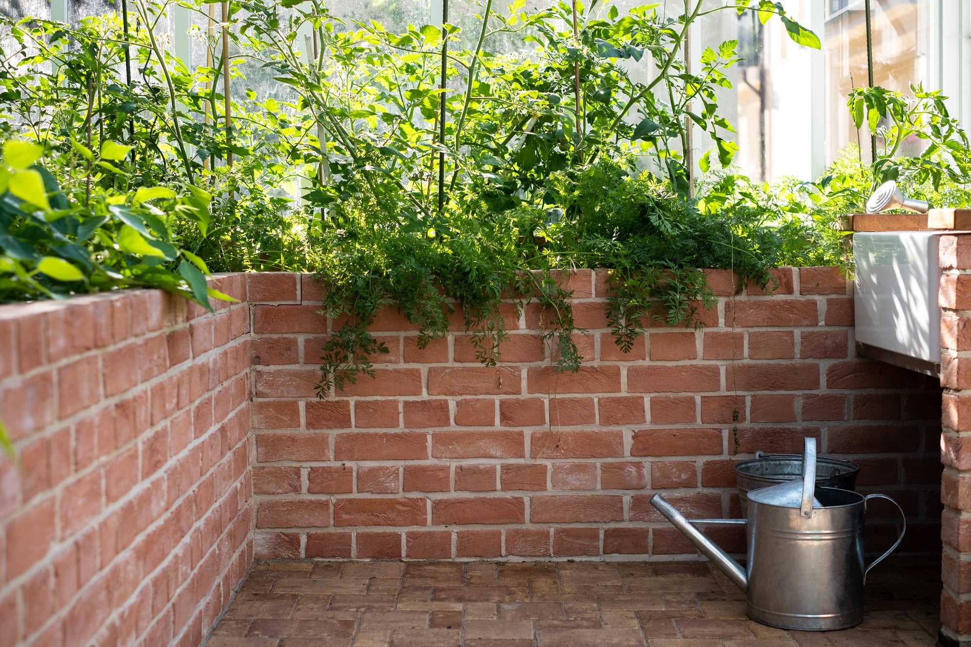Sfrutta pareti e davanzali per la coltivazione. Fonte: Flera
