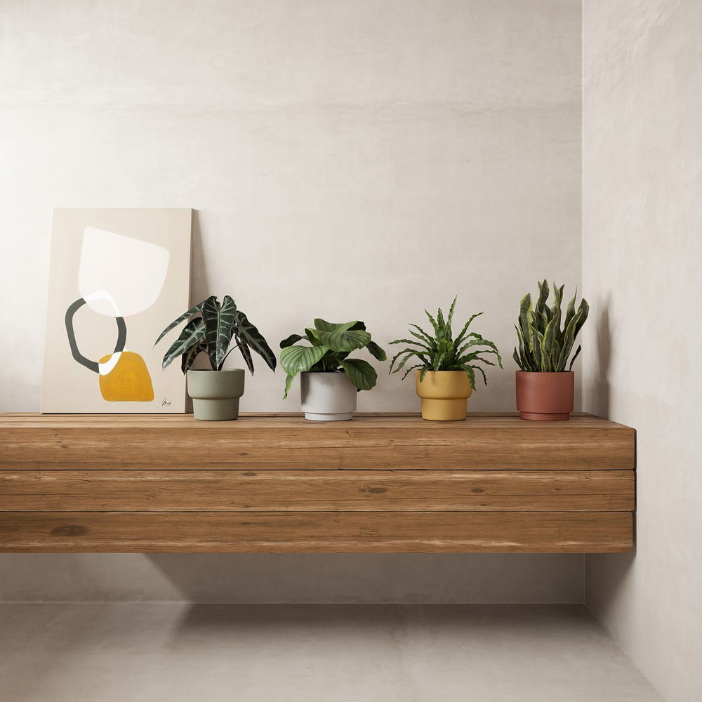 Ispirazione: Decorazioni