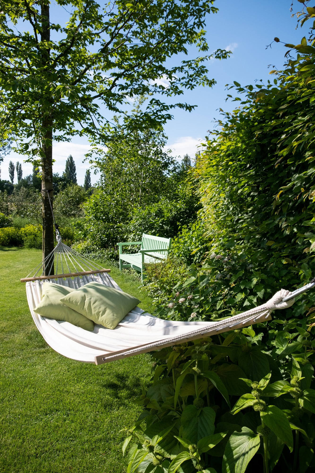 Appendi un'amaca tra gli alberi maturi.