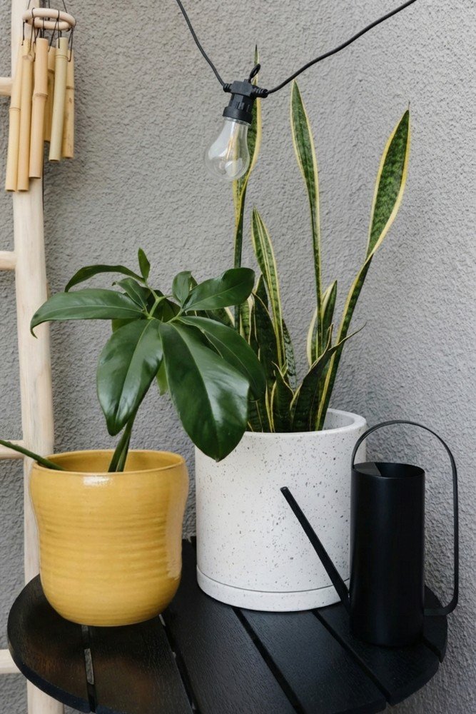 Ispirazione: Balcone e giardino, Estate, Primavera