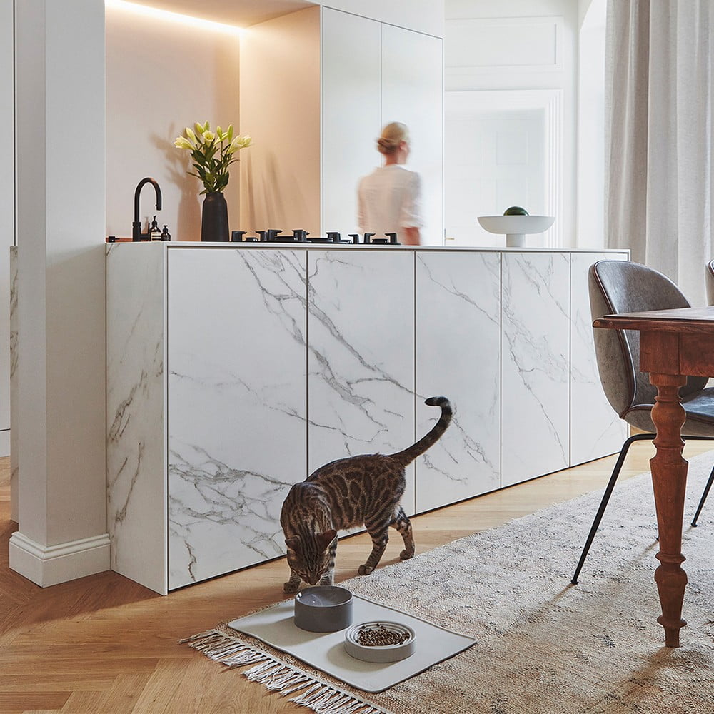 Ispirazione: Animali domestici