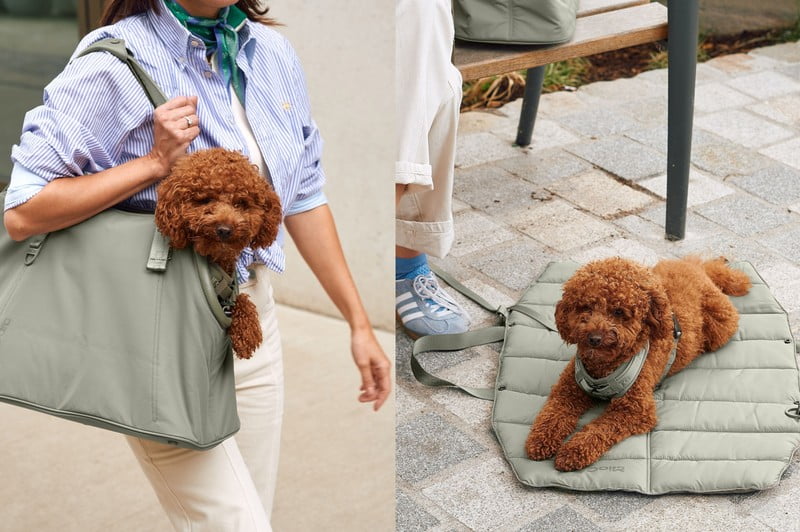 Ispirazione: Animali domestici