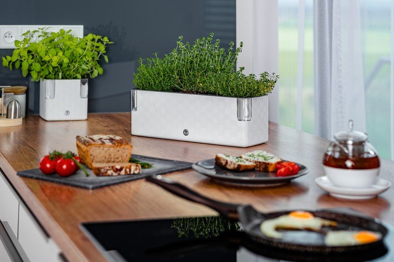 Ispirazione: Cucina e sala da pranzo, Primavera