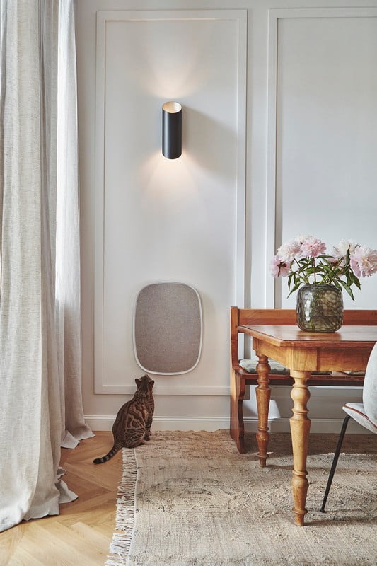 Ispirazione: Soggiorno, Animali domestici, Stile scandinavo