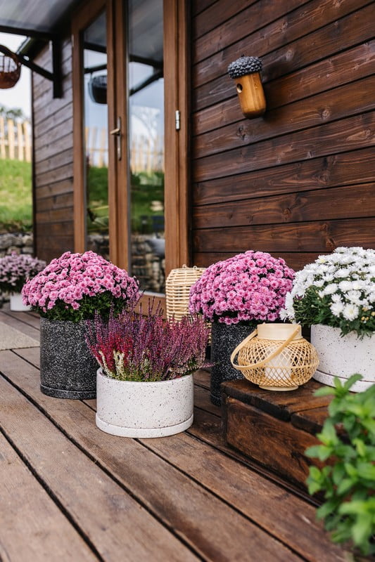 Ispirazione: Giardino, Stile rustico, Balcone e giardino