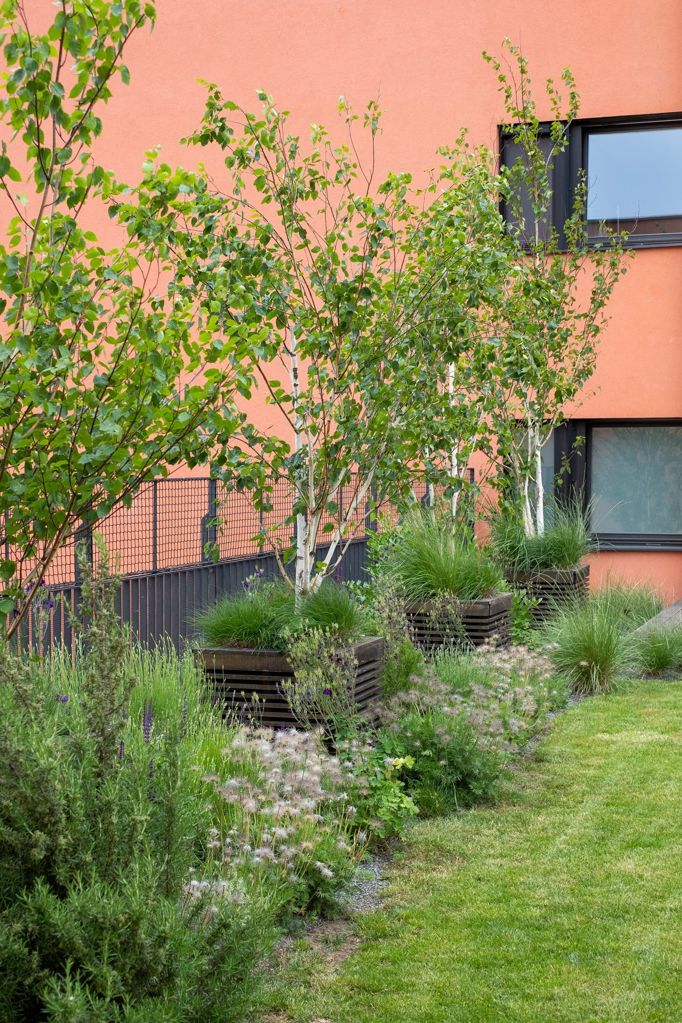 Riparare il giardino dagli sguardi indiscreti? Cespugli e alberi ti aiuteranno.