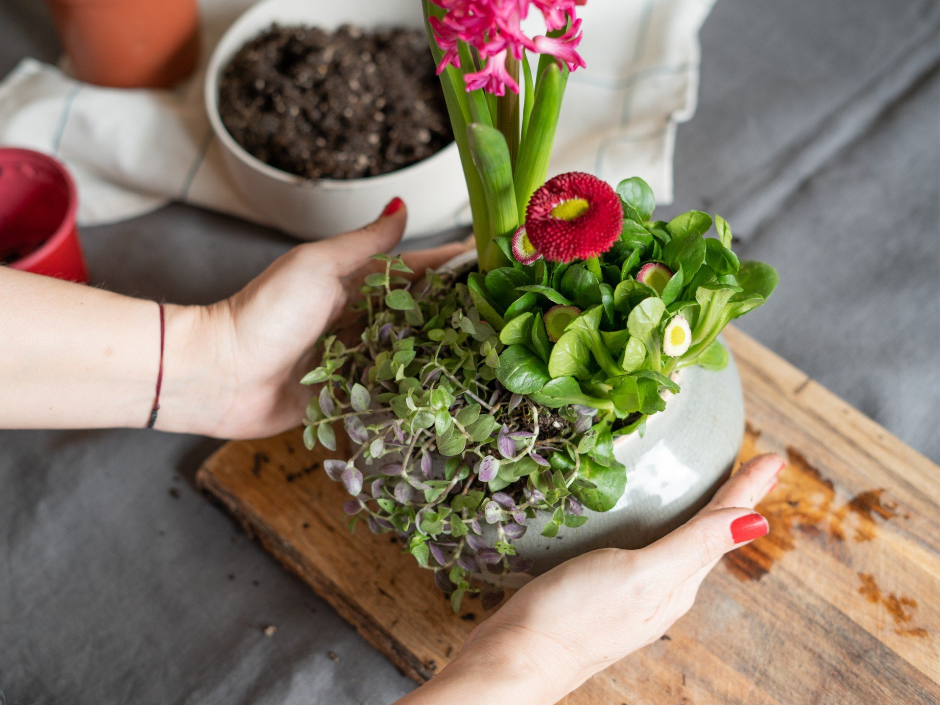 Decorazioni primaverili con bulbi e fiori.