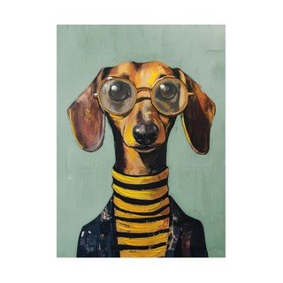 Animali