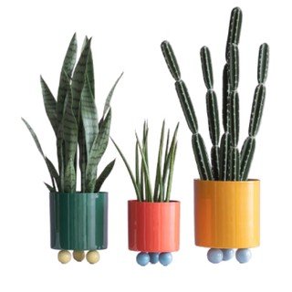 Fiori e vasi per fiori