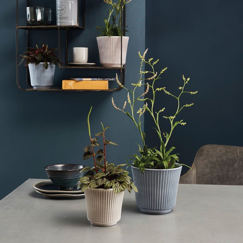 Ispirazione: Decorazioni