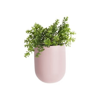 Fiori e vasi per fiori