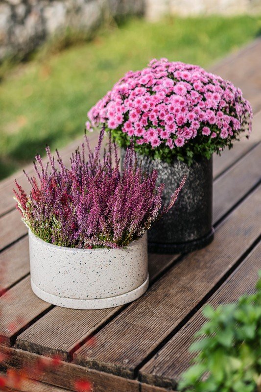 Ispirazione: Giardino, Balcone e giardino, Stile rustico