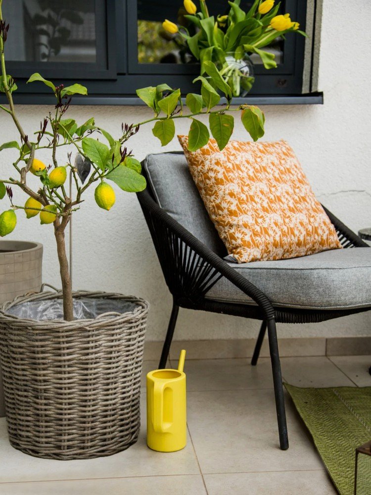 Ispirazione: Balcone e giardino, Giardino