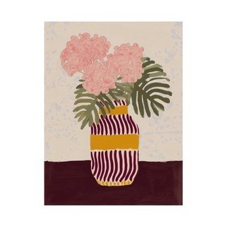 Piante