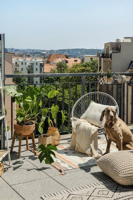 Ispirazione: Stile boho, Giardino, Balcone e giardino, Visite