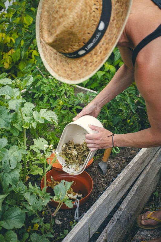 Ispirazione: Giardino