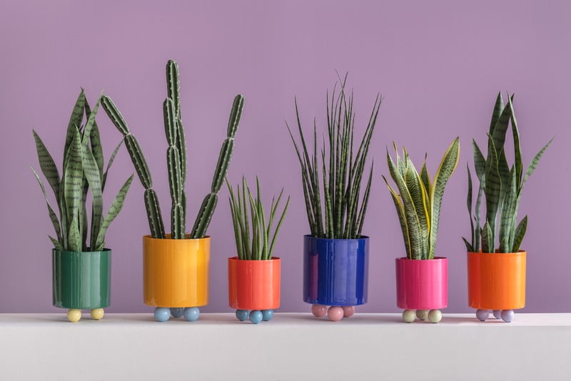 Ispirazione: Decorazioni