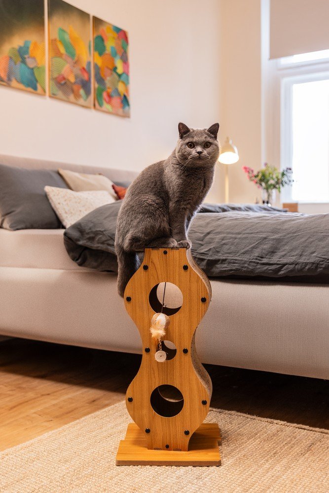 Ispirazione: Bonami in visita