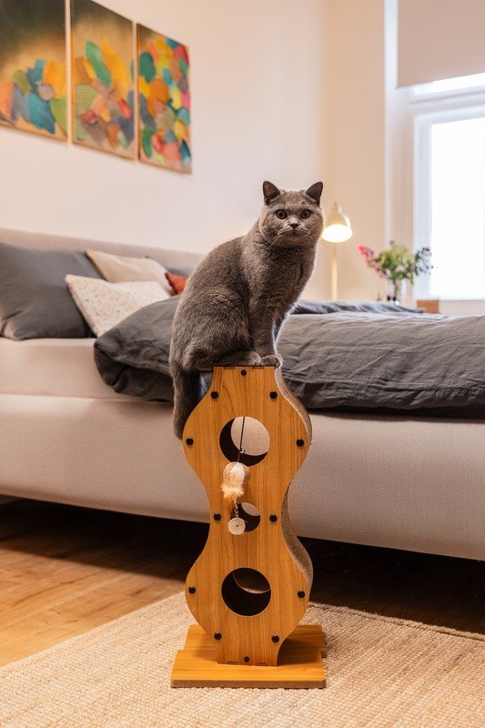 Ispirazione: Bonami in visita