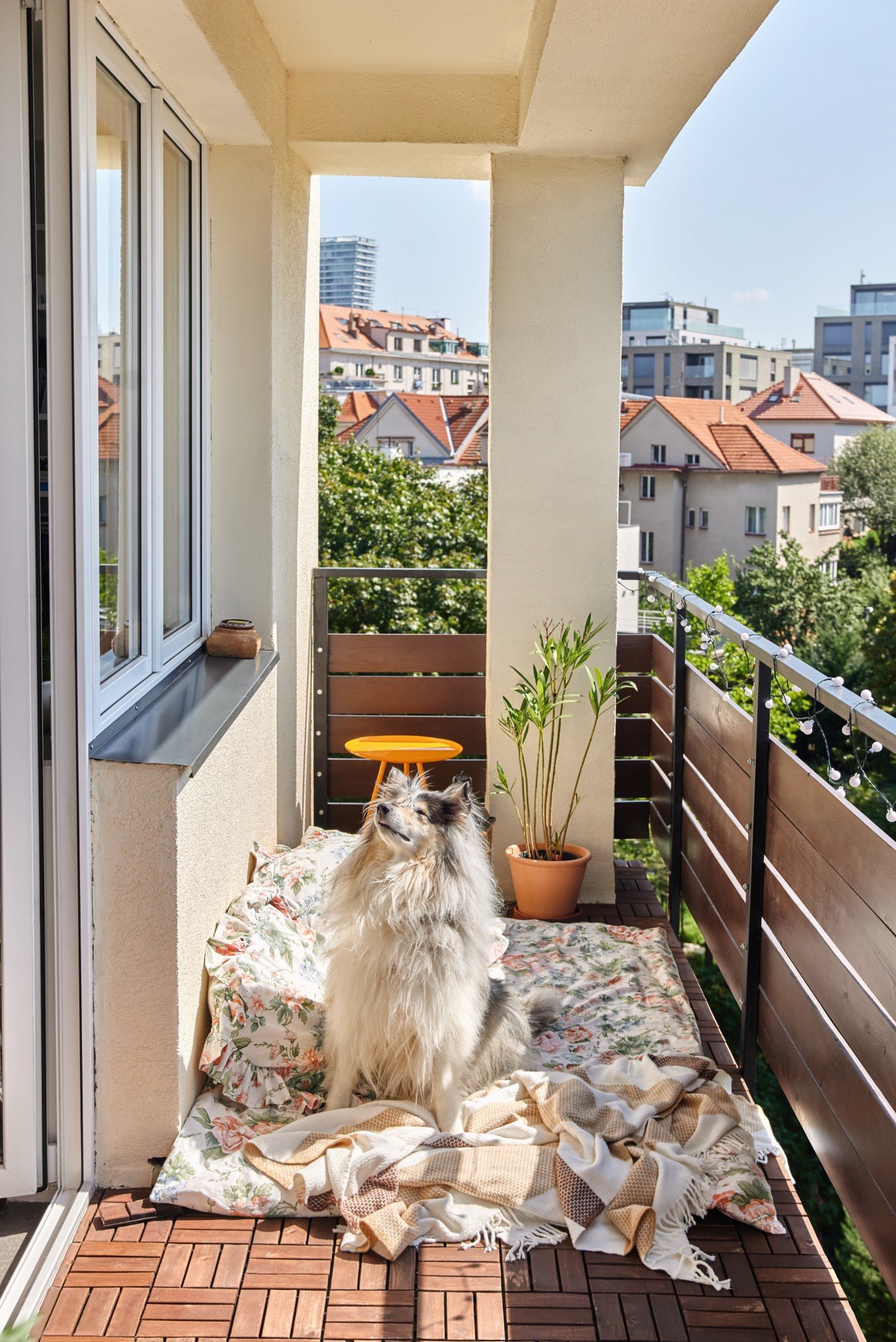 Un angolino sul terrazzo per il tuo animale domestico? Un materassino da esterno, qualche cuscino e una morbida coperta.